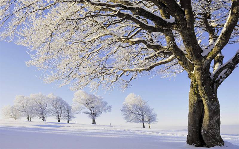 冬季唯美雪景高清壁纸