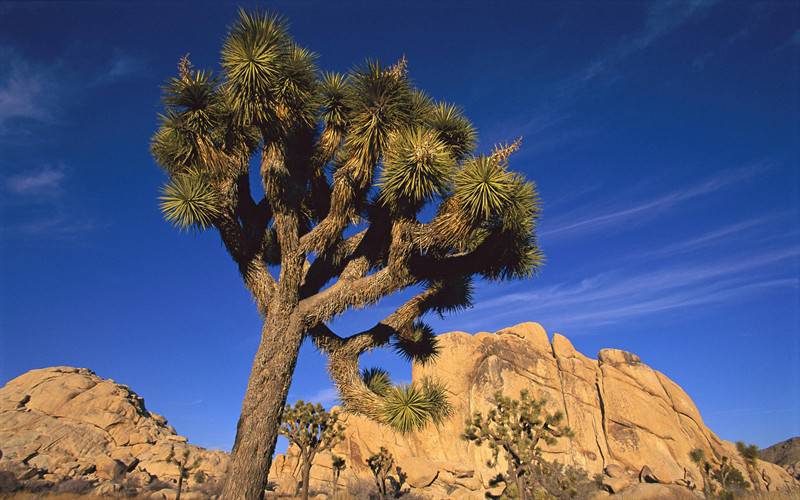 青山绿水唯美自然风景图片