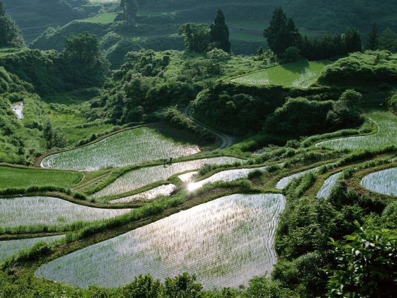 唯美田园风光高清风景图片