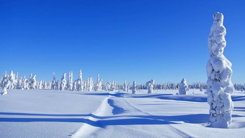 冬天唯美雪景高清雪景壁纸