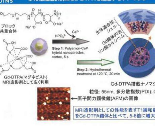 日本研发纳米胶囊 可准确杀伤癌细胞(2)