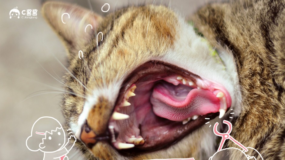 唯美猫咪漫画图片逗趣搞怪