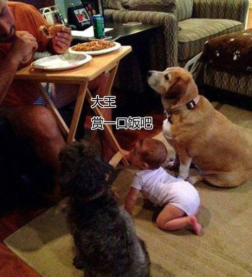 一群脑残“中毒”不浅的屌丝