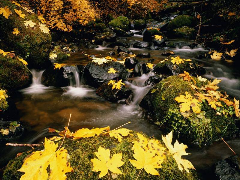 秋衣略显荒凉的自然美景图片