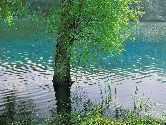 日本风光与花卉