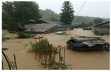 南方强降雨致15人死亡