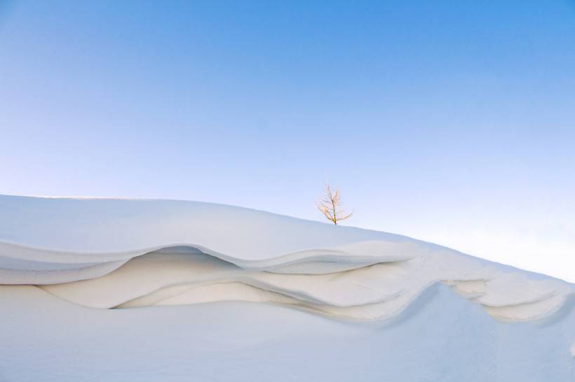 冬日雪景壁纸洁白迷人