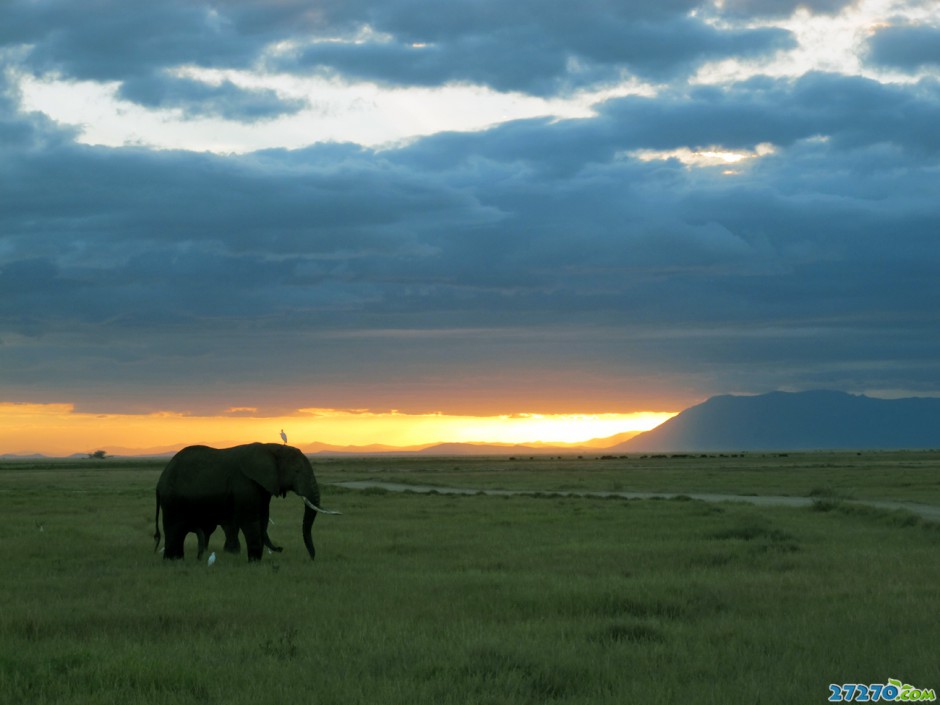 夕阳下：肯尼亚的美景