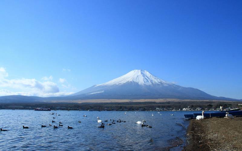 日本富士山的奇观高清桌面壁纸