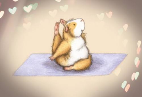 做瑜伽的仓鼠搞笑动漫手绘