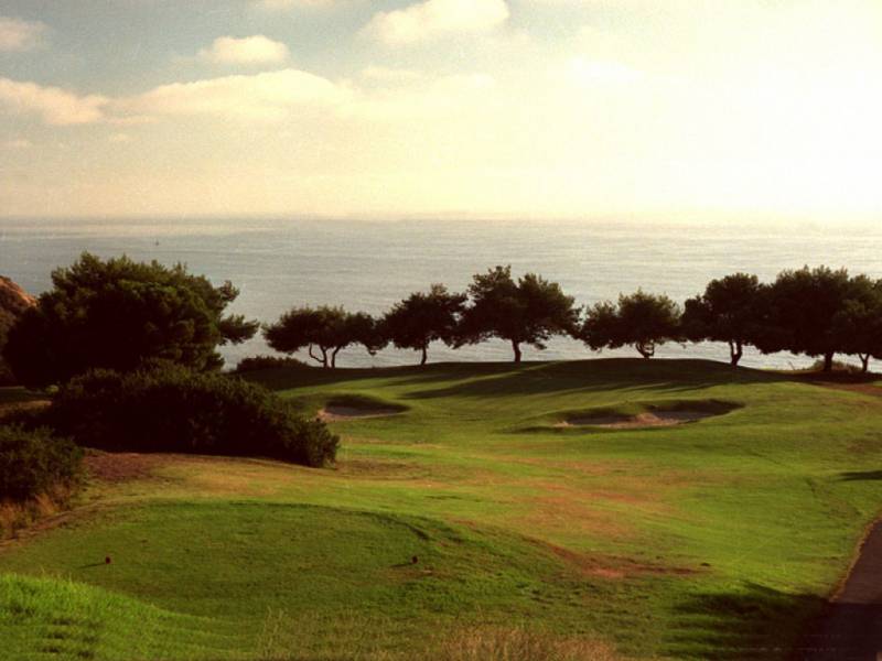 绿草如茵的高尔夫球场美丽风景图片