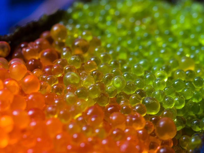 日式海鲜寿司美味新鲜