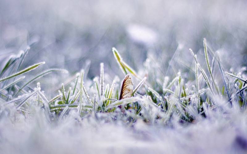 唯美冬天雪景精美壁纸赏析