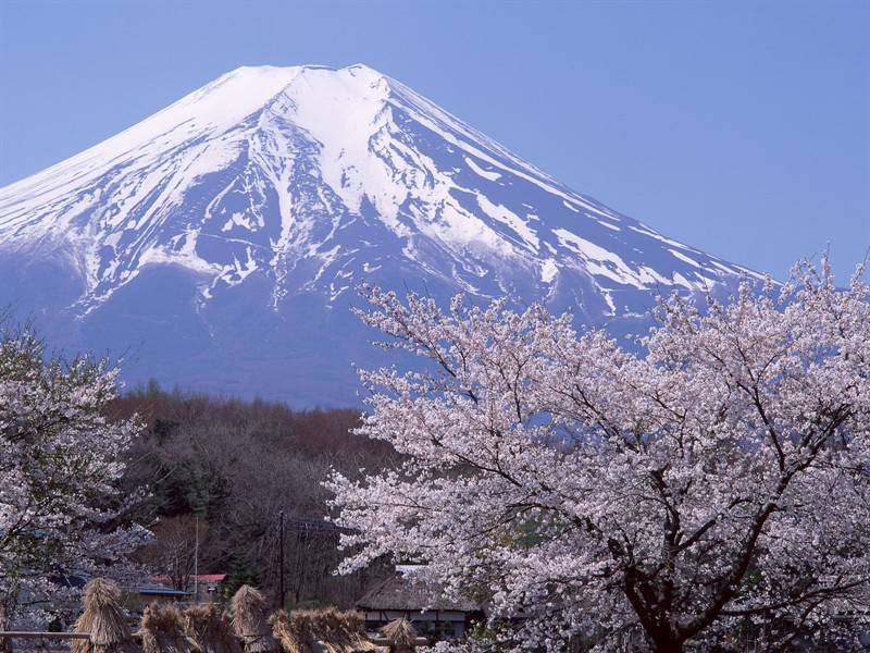 日本第一大高峰富士山下的春夏秋冬高清图片
