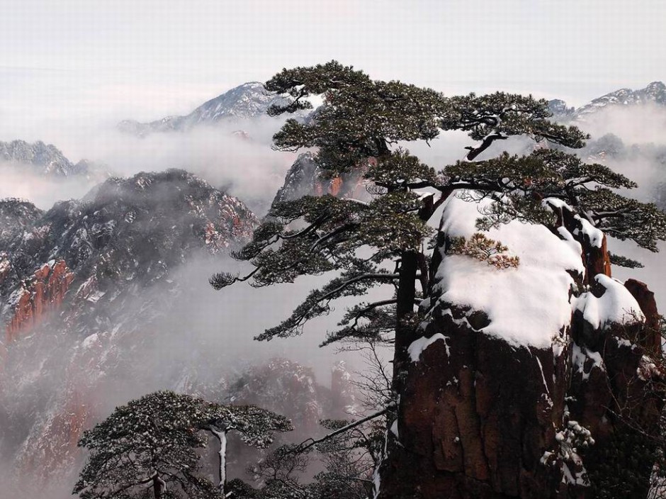 冬季雪盖黄山美景