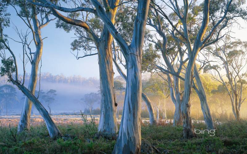 优美的澳大利亚自然风景图片