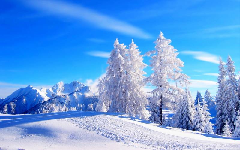 冬季唯美自然森林草原雪白美景高清图