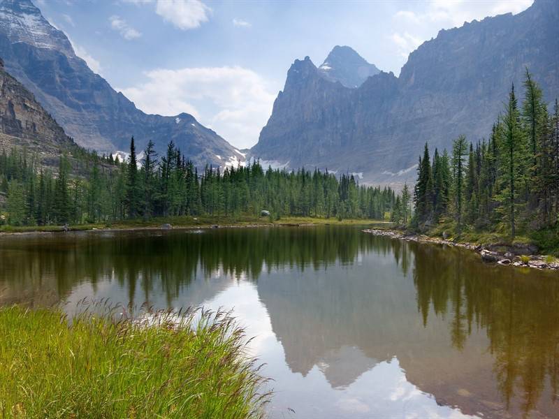 清晨湖泊烟雾缭绕浪漫美景