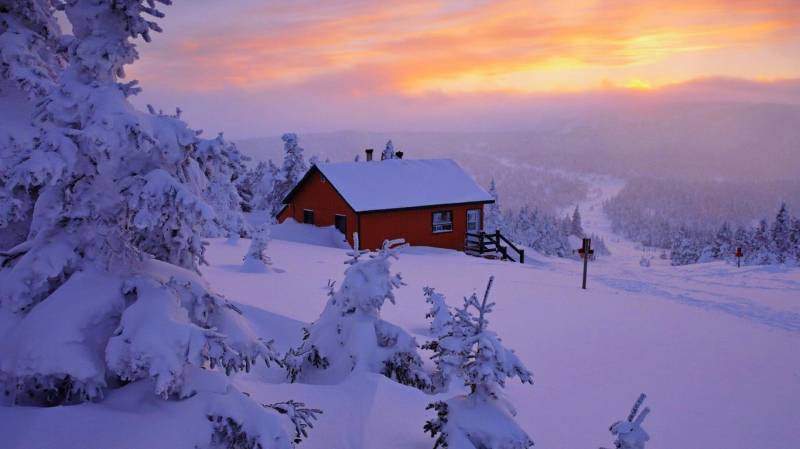 冬日森林唯美纯白雪景精致美图壁纸