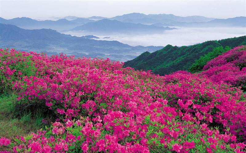 唯美自然风景图片静心养眼