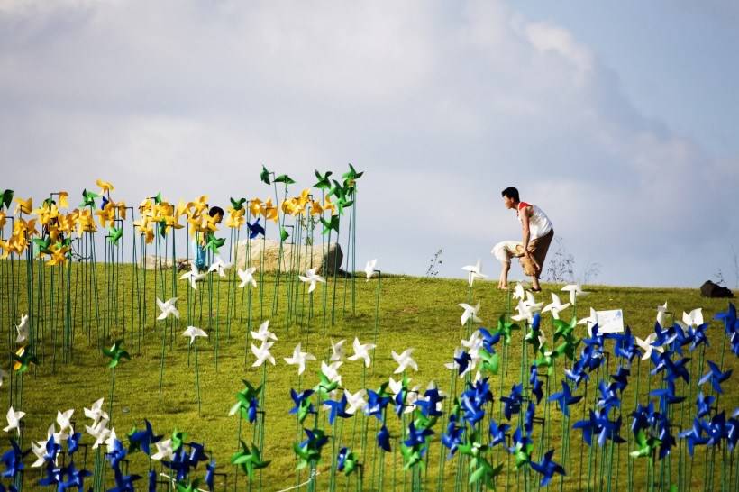 高清风车丛玩耍图片