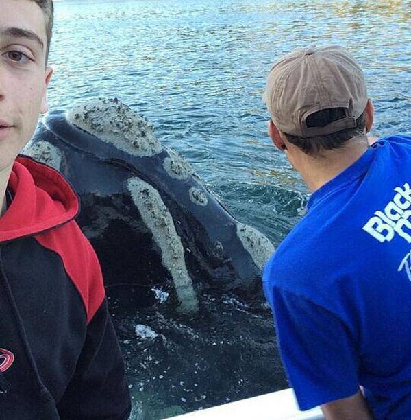 鲸鱼向渔民求助 嘴卡垃圾袋险些丧命