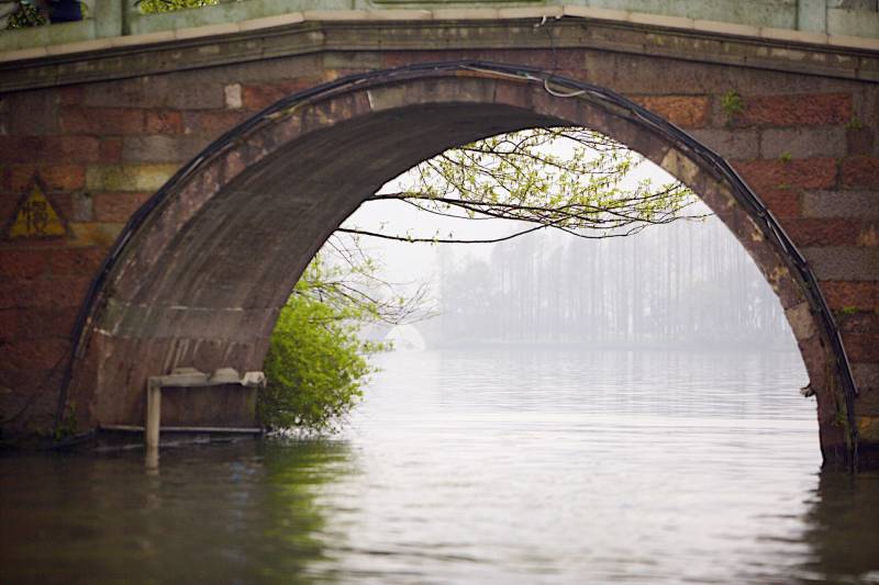 水乡之称苏州湖畔杨柳风景图片