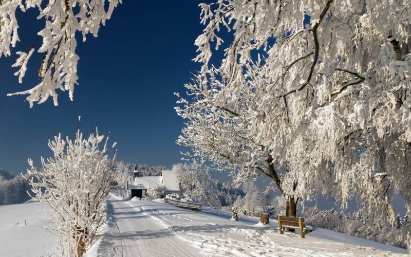 唯美大自然雪景精美壁纸