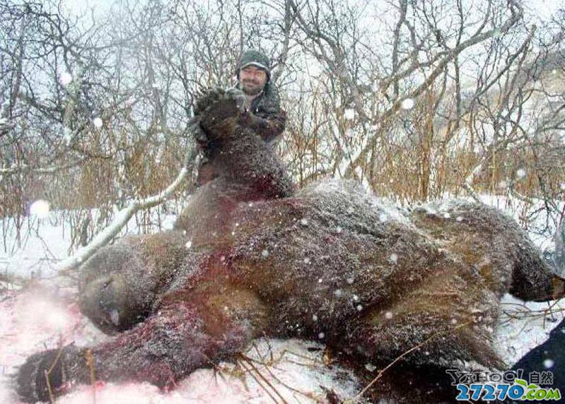 冷血的瞬间“猎熊杀手”