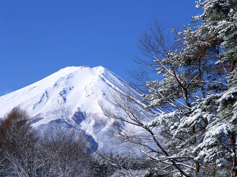 日本第一大高峰富士山下的春夏秋冬高清图片