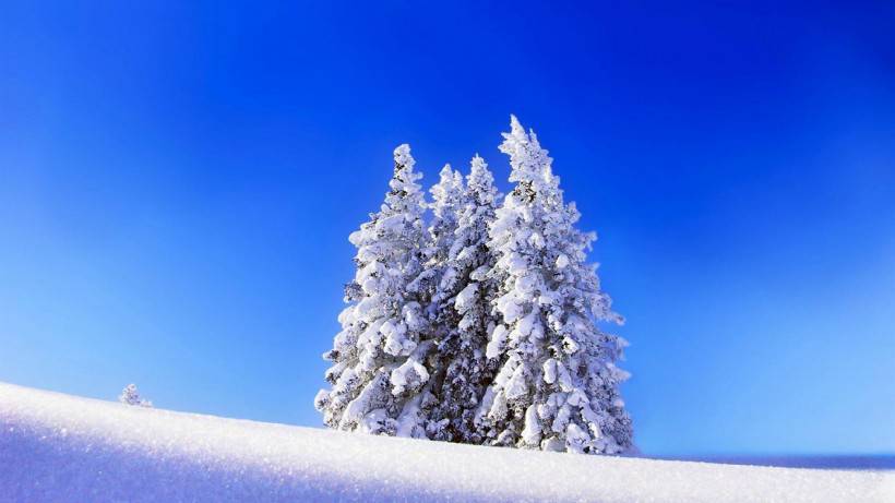 唯美清新素雅雪景风景图片壁纸