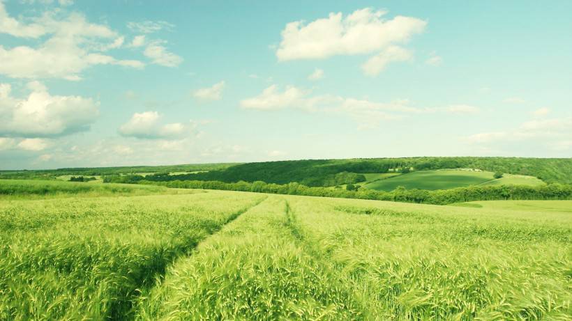 最美的绿色草原风景图片壁纸
