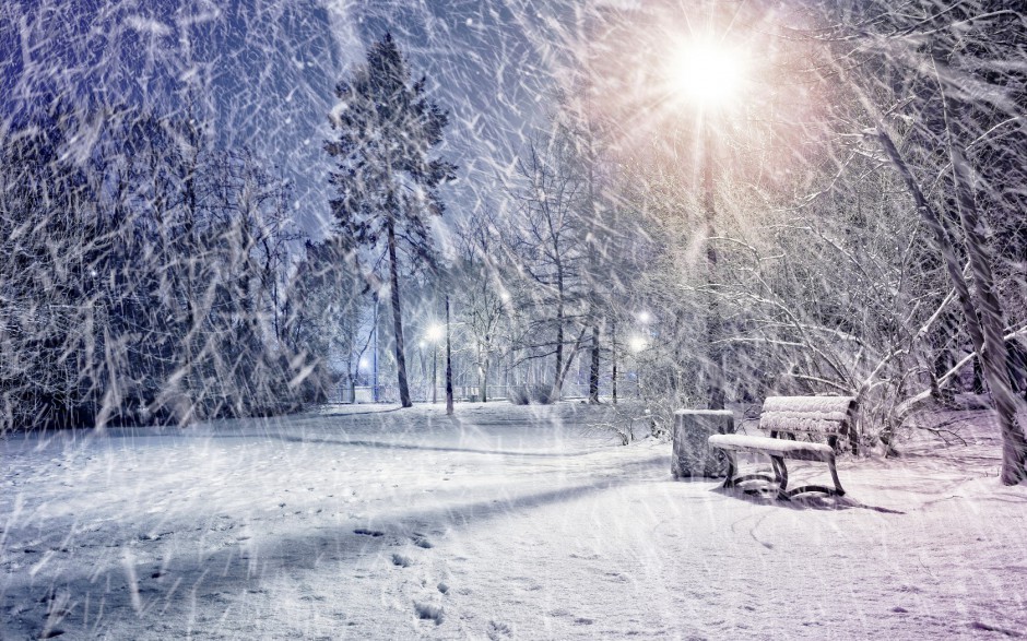 冬天森林雪景风景图片壁纸