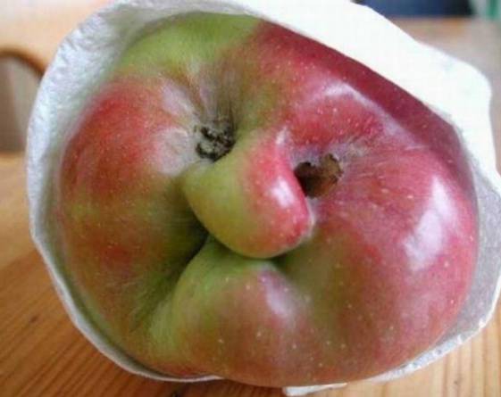 水果恶搞图片之巫婆苹果