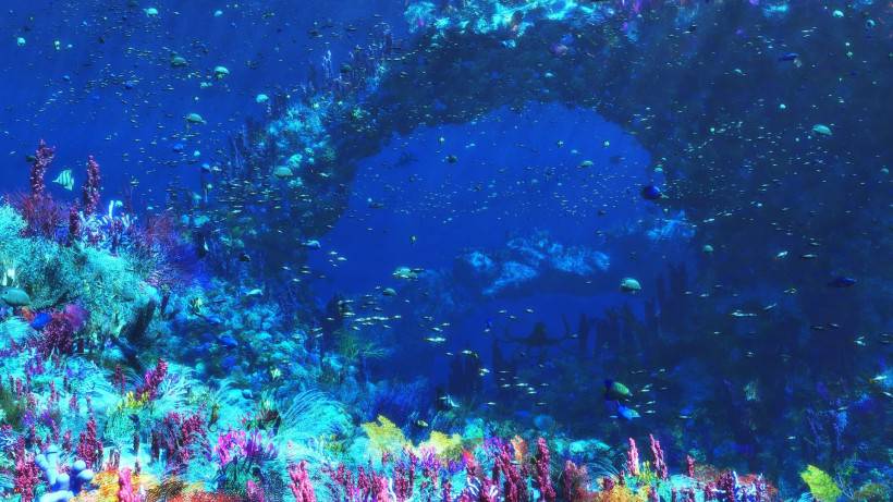 海底世界唯美风景图片壁纸