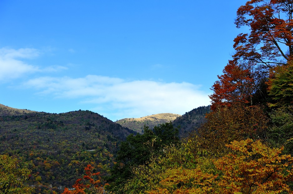 神农架 秋色满山