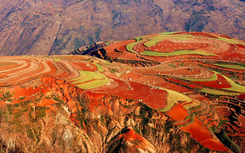 云南东川红土地  秋天的美景图片