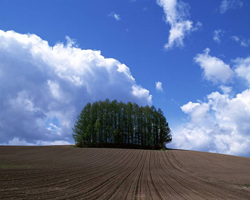 蓝天绿地蓝绿相接的自然美景