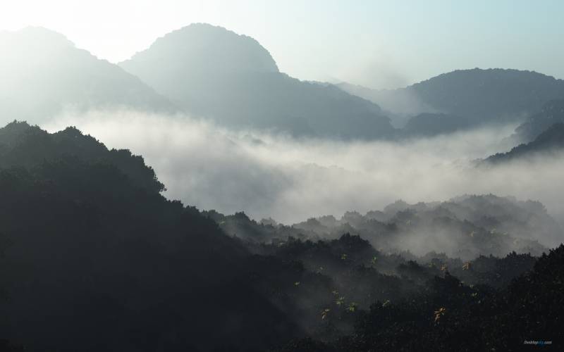 大山里的雾唯美风景高清组图