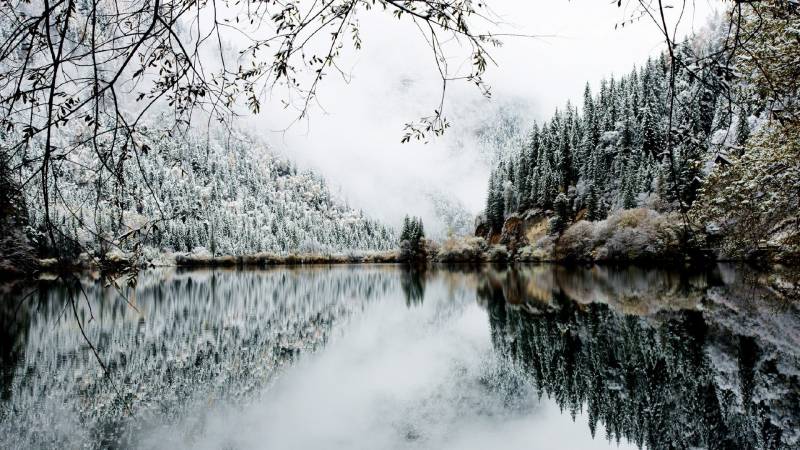 绝美纯白的雪景风光壁纸欣赏