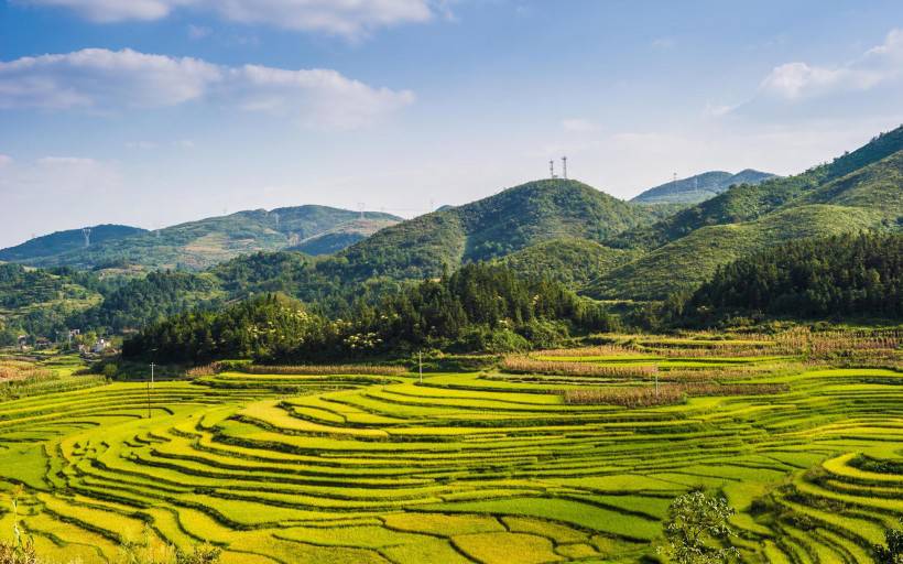 唯美秋天稻谷丰收风景图片壁纸