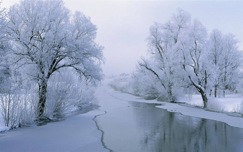 冬季唯美雪景高清壁纸