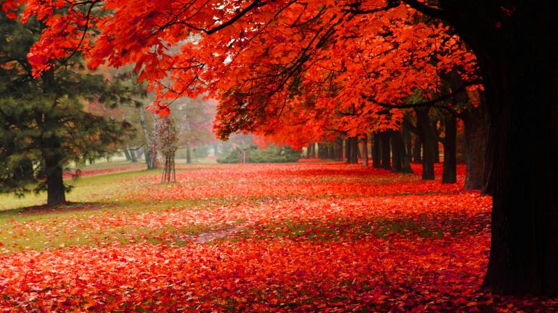 秋天的自然美景图片欣赏