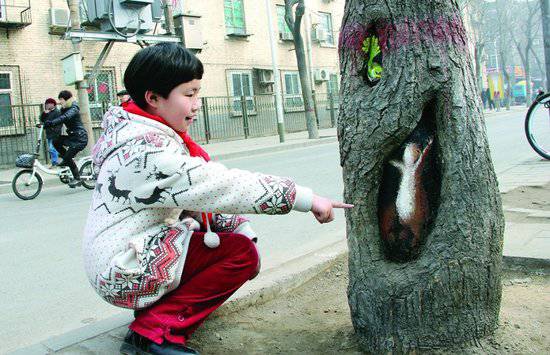 女孩绘树洞画轰动全国 央视称其“感动冬天”