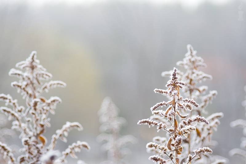 美丽的雪山雪景宽屏风景壁纸赏析