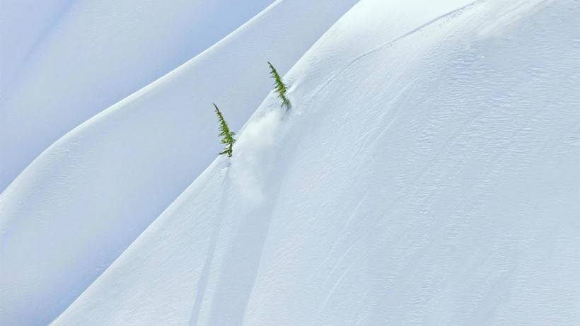 唯美清新素雅雪景风景图片壁纸