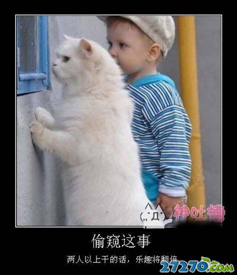 每日爆笑 伤不起