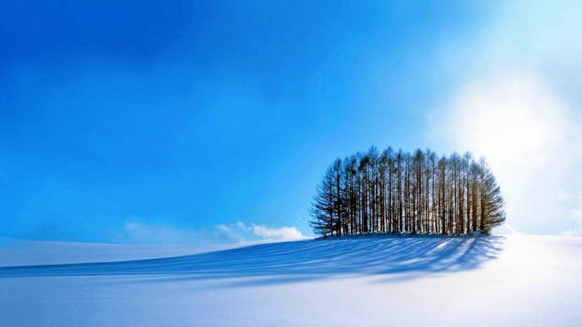 唯美清新素雅雪景风景图片壁纸