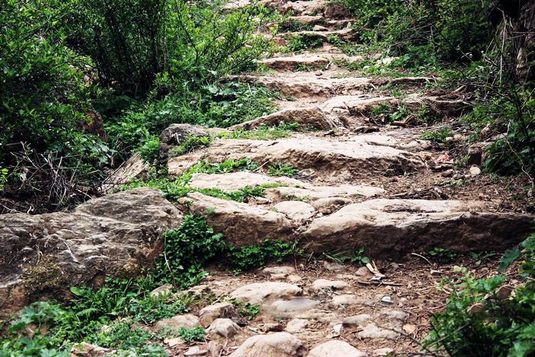 盐仓大路村：时光隧道里的茶马古道