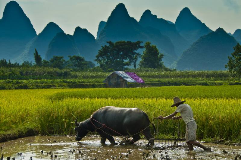 让人心旷神怡的美丽风景组图